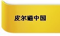 皮爾磁參展第13屆華南地區(qū)工業(yè)控制自動(dòng)化國際展覽會(huì)